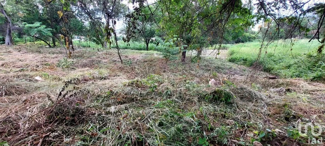 Terreno en Venta en Los Pájaros, Tuxtla Gutiérrez, Chiapas | NEX-266985 | iad México | Foto 4 de 6