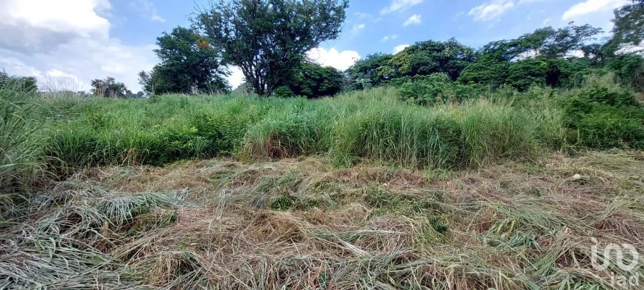 Terreno en Venta en Los Pájaros, Tuxtla Gutiérrez, Chiapas | NEX-266985 | iad México | Foto 6 de 6