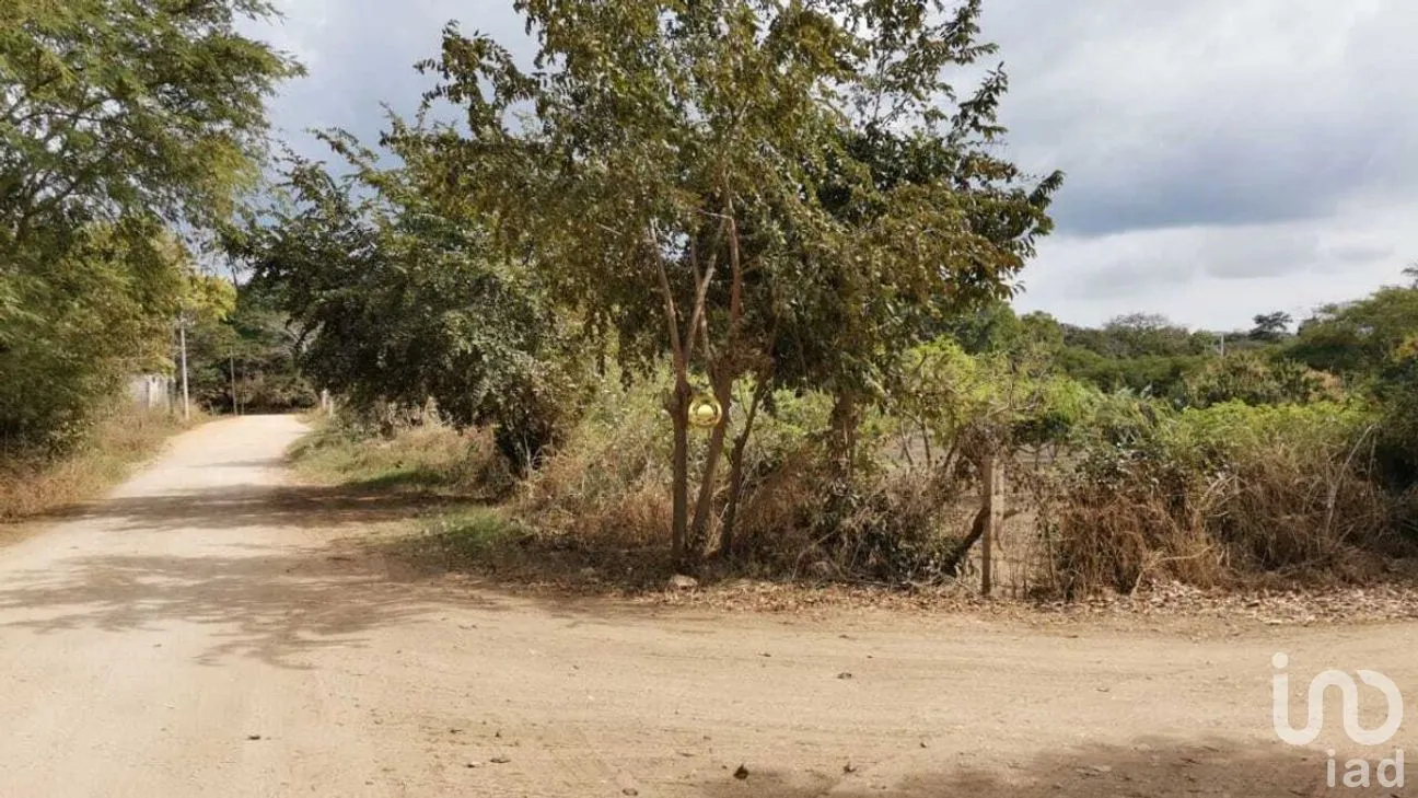 Terreno en Venta en El Jobo, Tuxtla Gutiérrez, Chiapas | NEX-267323 | iad México | Foto 2 de 11