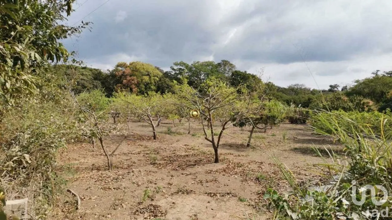 Terreno en Venta en El Jobo, Tuxtla Gutiérrez, Chiapas | NEX-267323 | iad México | Foto 3 de 11