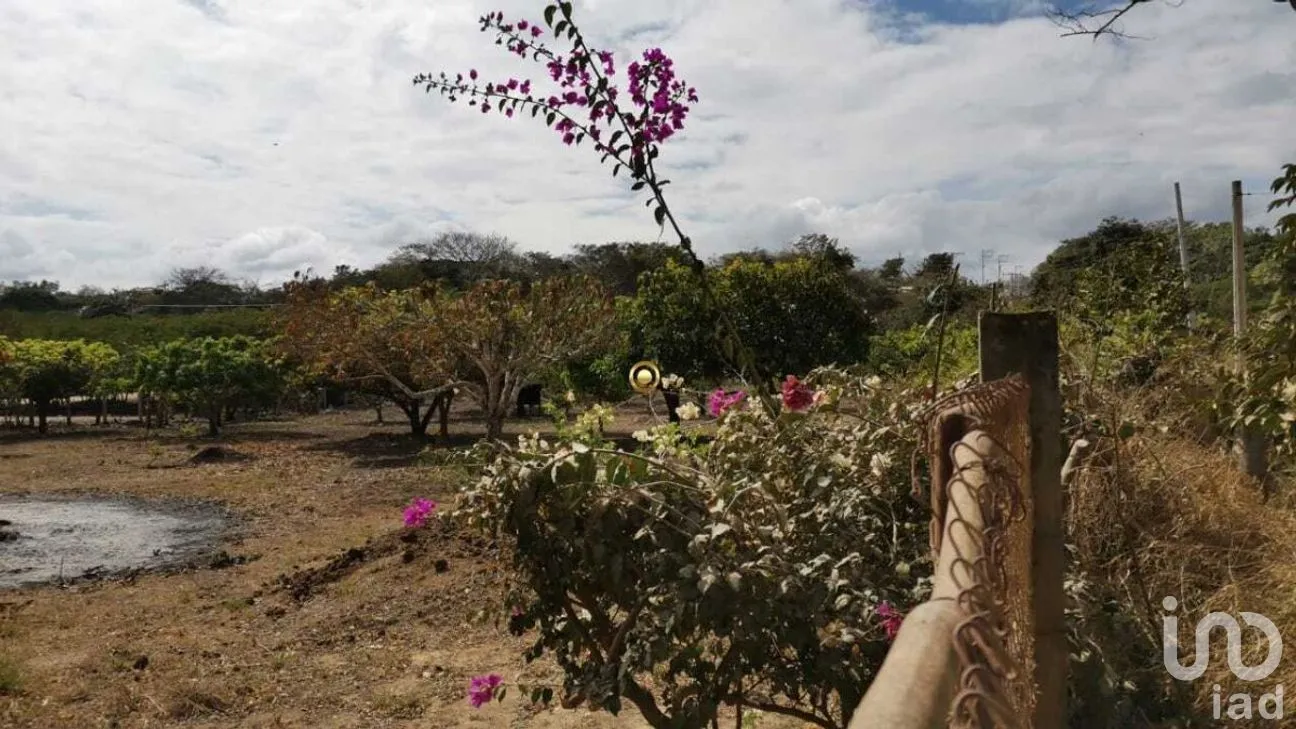 Terreno en Venta en El Jobo, Tuxtla Gutiérrez, Chiapas | NEX-267323 | iad México | Foto 4 de 11
