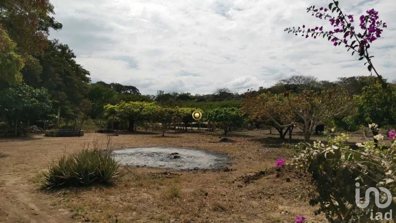 Terreno en Venta en El Jobo, Tuxtla Gutiérrez, Chiapas | NEX-267323 | iad México | Foto 5 de 11