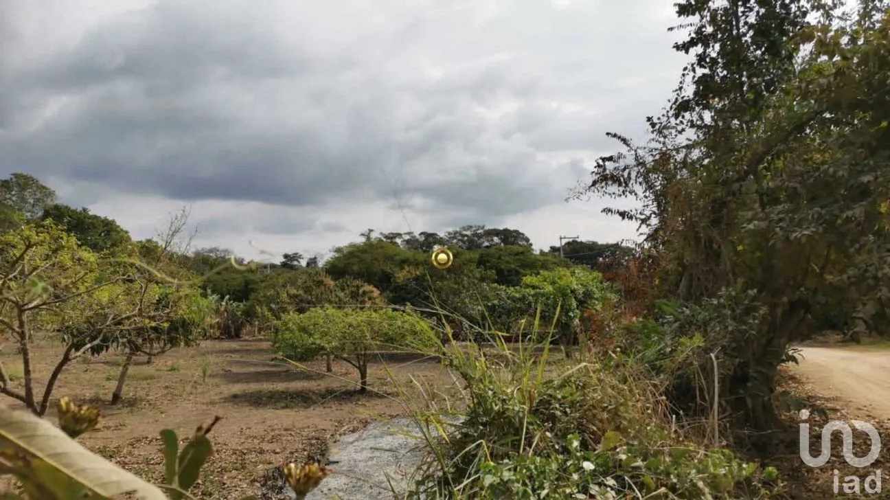 Terreno en Venta en El Jobo, Tuxtla Gutiérrez, Chiapas | NEX-267323 | iad México | Foto 6 de 11