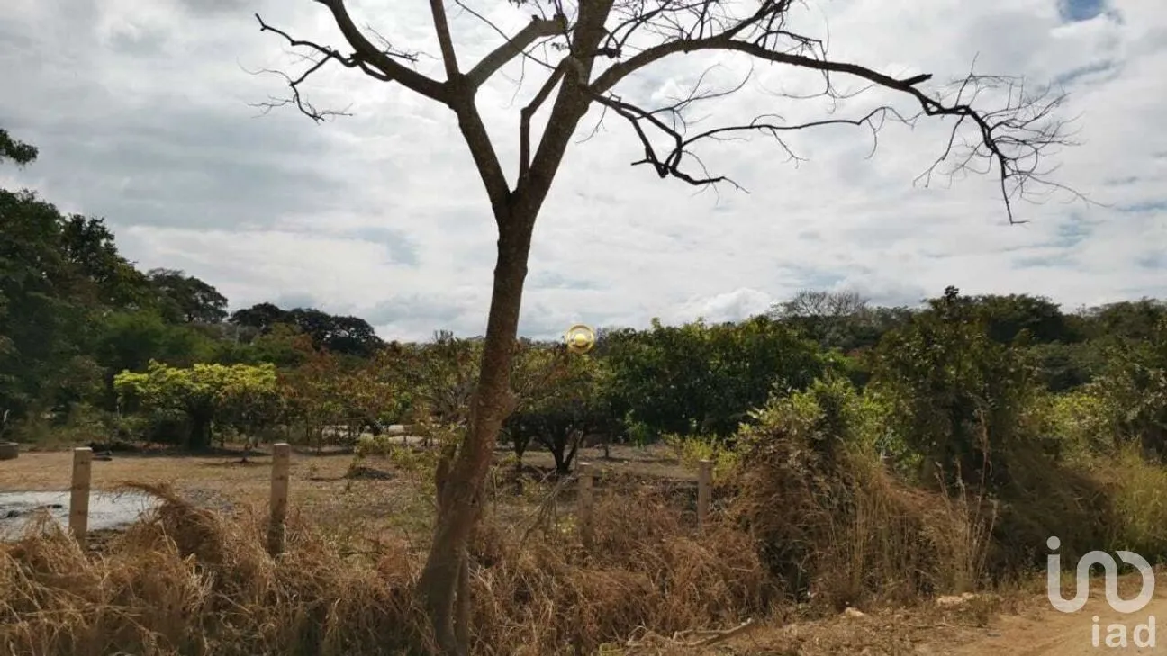 Terreno en Venta en El Jobo, Tuxtla Gutiérrez, Chiapas | NEX-267323 | iad México | Foto 7 de 11