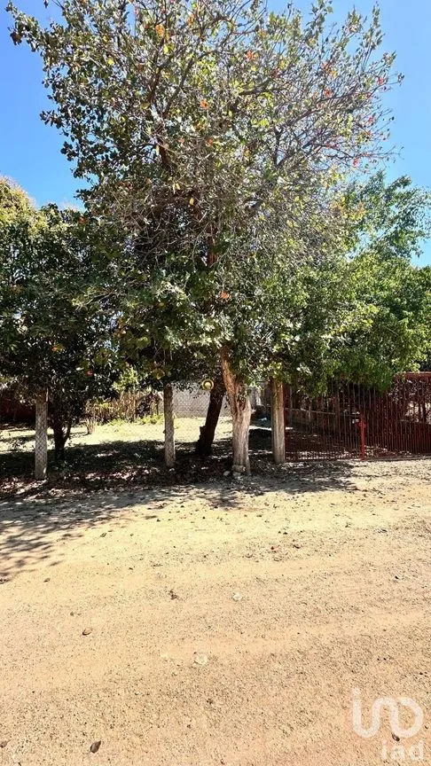 Terreno en Venta en Rivera Cupia, Chiapa de Corzo, Chiapas | NEX-267324 | iad México | Foto 3 de 11