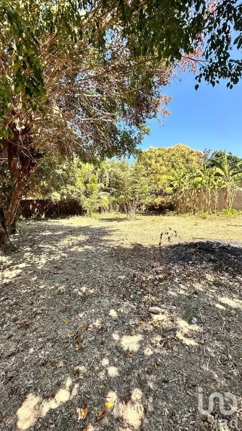 Terreno en Venta en Rivera Cupia, Chiapa de Corzo, Chiapas | NEX-267324 | iad México | Foto 5 de 11