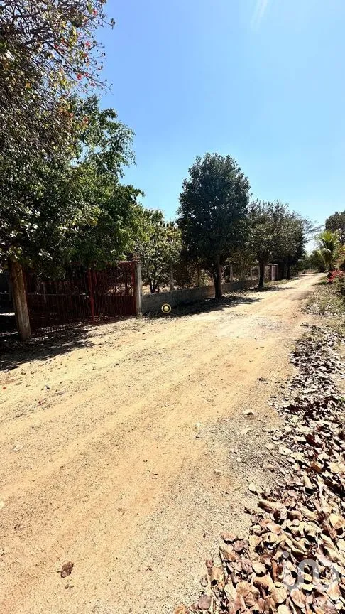 Terreno en Venta en Rivera Cupia, Chiapa de Corzo, Chiapas | NEX-267324 | iad México | Foto 6 de 11
