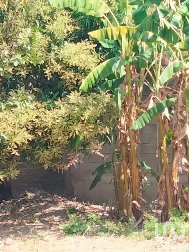 Terreno en Venta en Rivera Cupia, Chiapa de Corzo, Chiapas | NEX-267324 | iad México | Foto 9 de 11