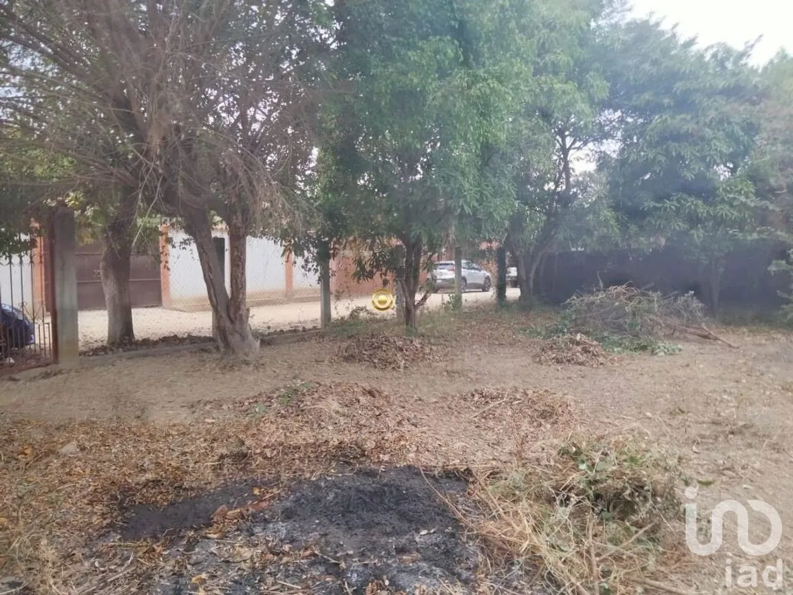 Terreno en Venta en Rivera Cupia, Chiapa de Corzo, Chiapas | NEX-267324 | iad México | Foto 10 de 11