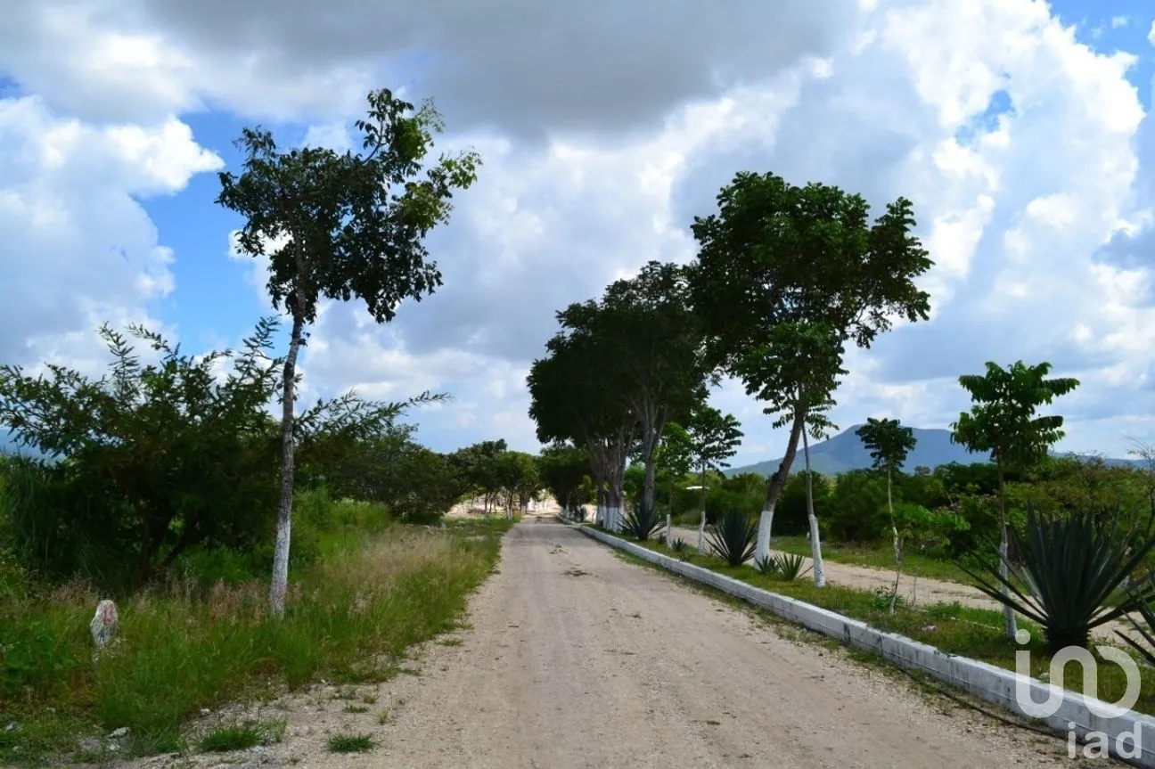 Terreno en Venta en Guadalupe Oriente, Berriozábal, Chiapas | NEX-267326 | iad México | Foto 3 de 8