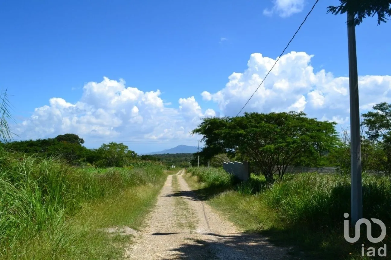 Terreno en Venta en Guadalupe Oriente, Berriozábal, Chiapas | NEX-267326 | iad México | Foto 4 de 8