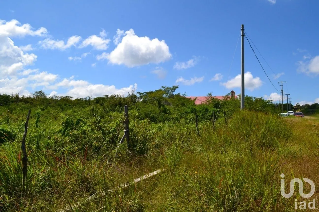 Terreno en Venta en Guadalupe Oriente, Berriozábal, Chiapas | NEX-267326 | iad México | Foto 5 de 8