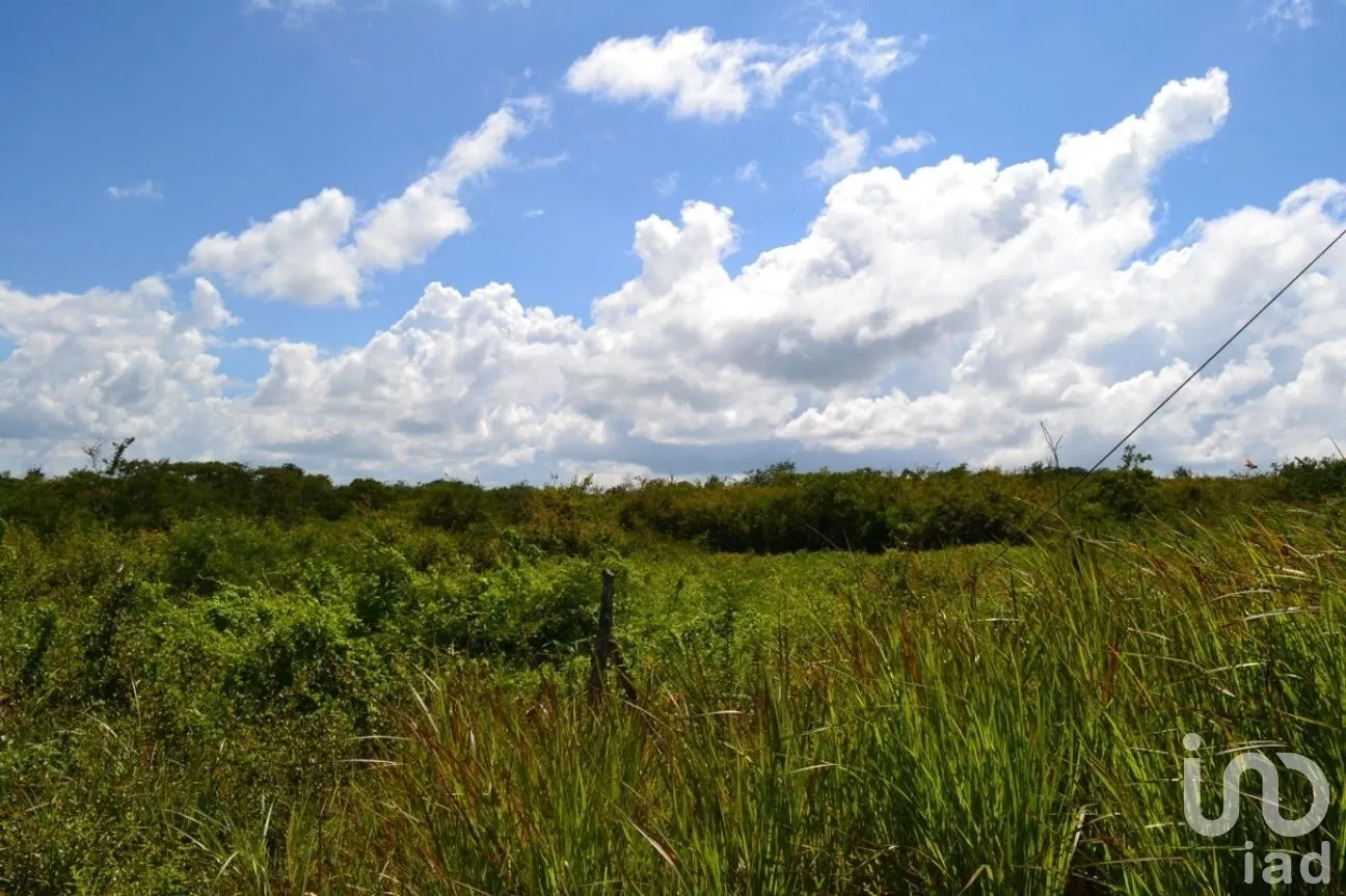 Terreno en Venta en Guadalupe Oriente, Berriozábal, Chiapas | NEX-267326 | iad México | Foto 7 de 8