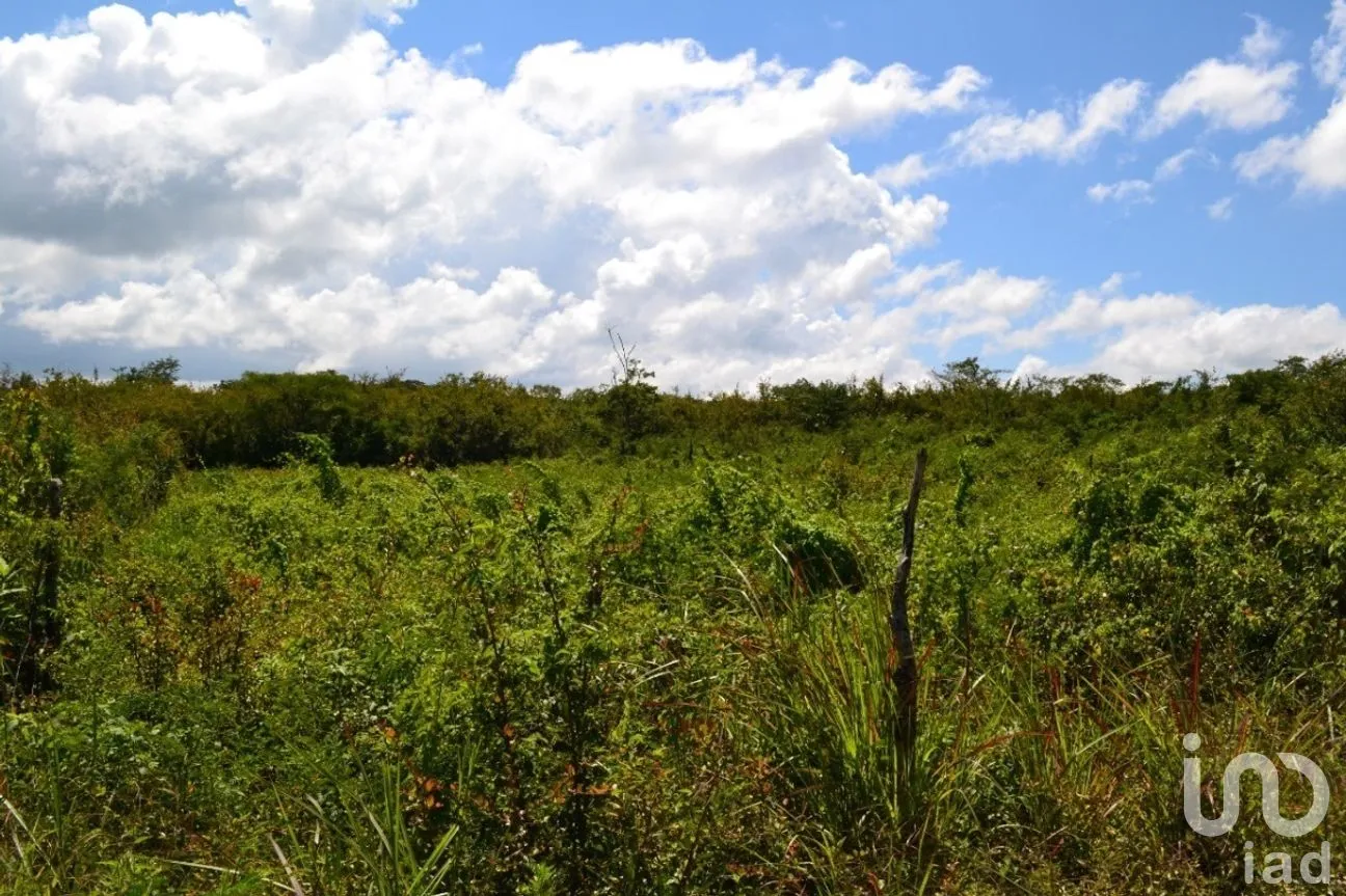 Terreno en Venta en Guadalupe Oriente, Berriozábal, Chiapas | NEX-267326 | iad México | Foto 8 de 8