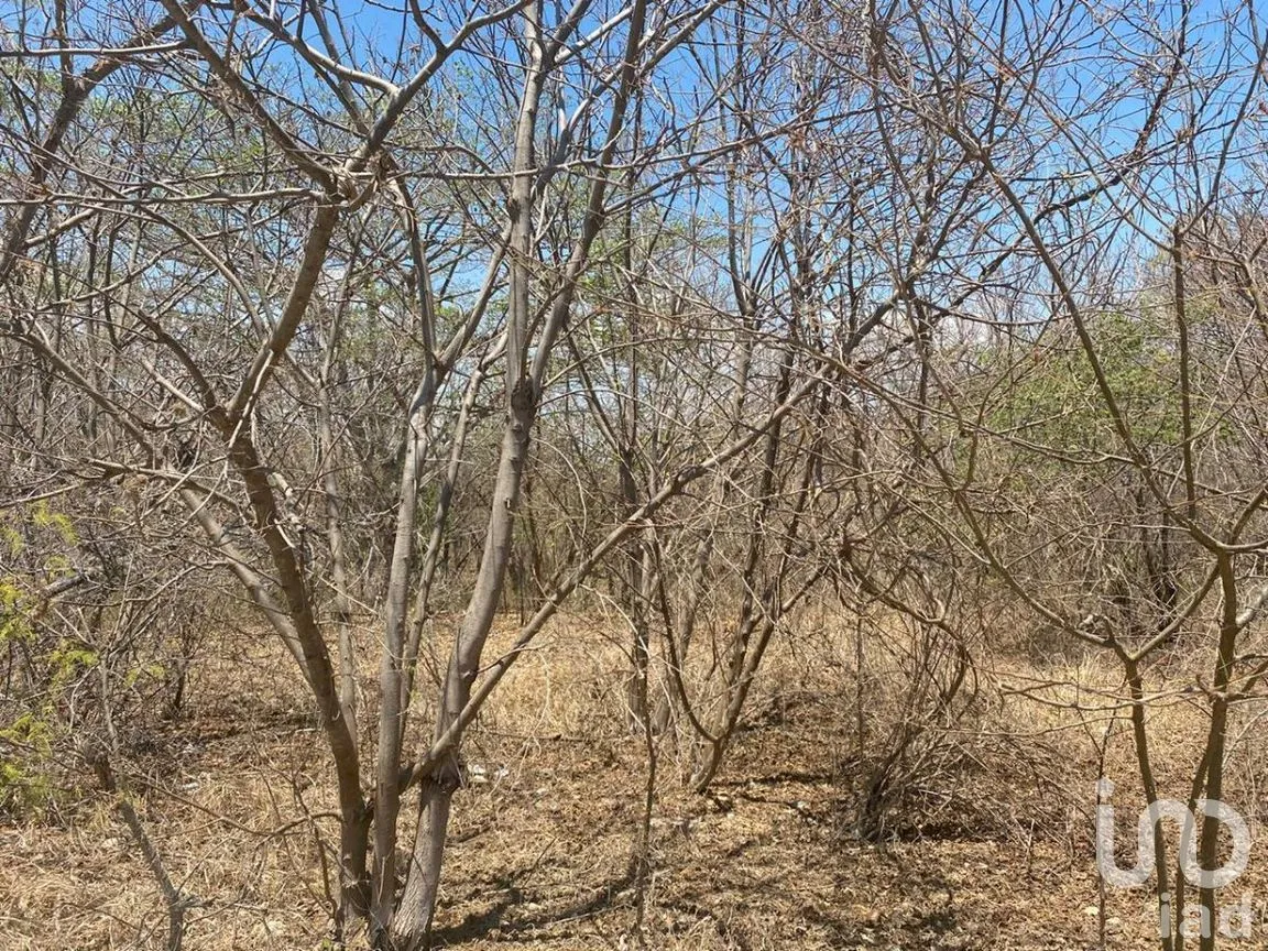 Terreno en Venta en Lomas de Mactumatza, Tuxtla Gutiérrez, Chiapas | NEX-268429 | iad México | Foto 6 de 8