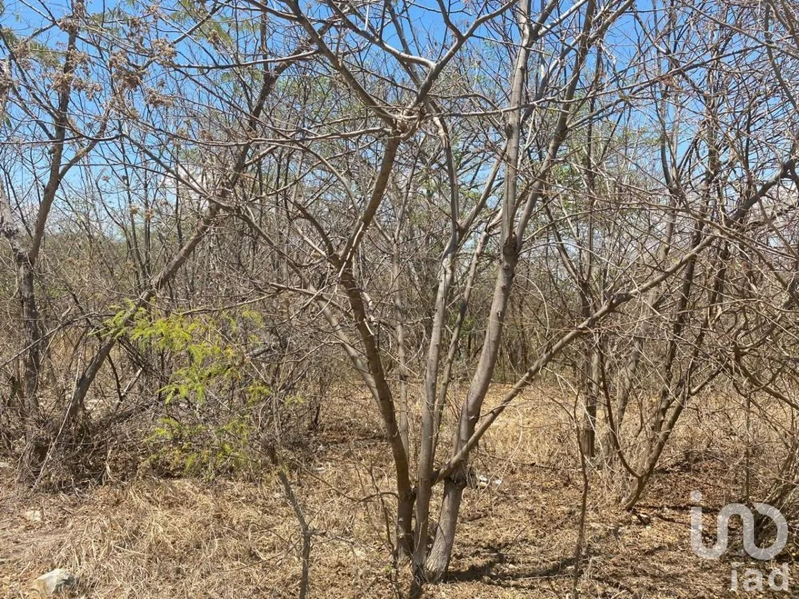 Terreno en Venta en Lomas de Mactumatza, Tuxtla Gutiérrez, Chiapas | NEX-268429 | iad México | Foto 7 de 8