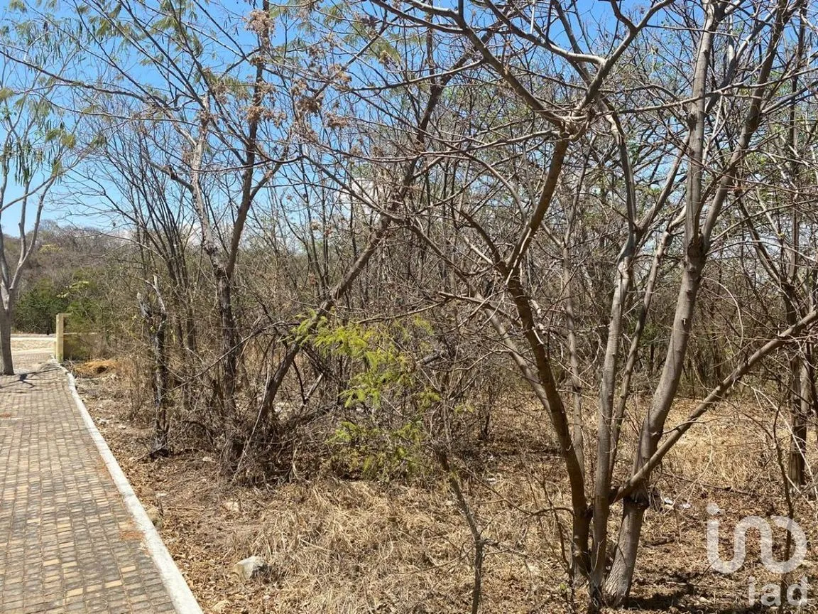 Terreno en Venta en Lomas de Mactumatza, Tuxtla Gutiérrez, Chiapas | NEX-268429 | iad México | Foto 8 de 8