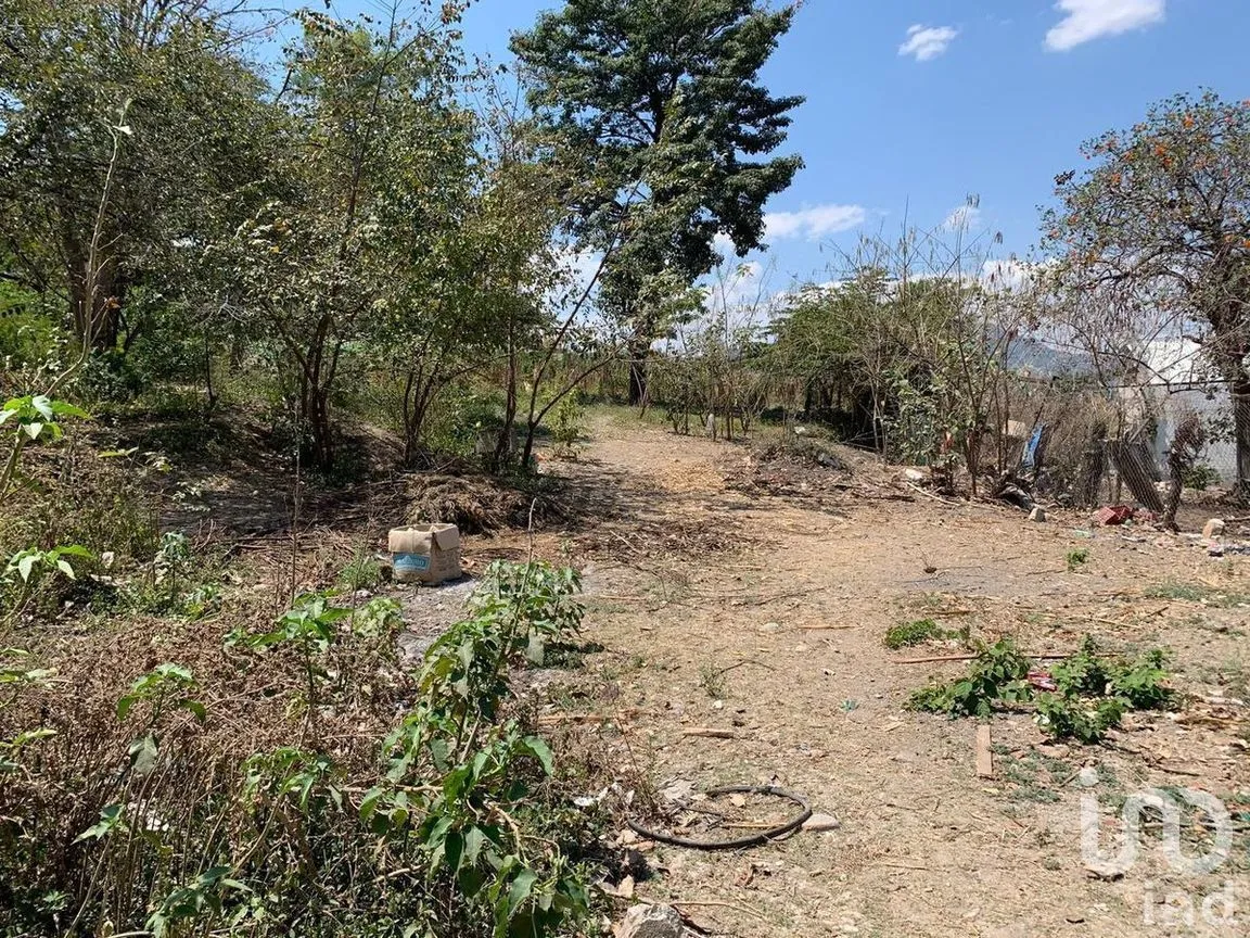 Terreno en Venta en Paseo del Bosque, Tuxtla Gutiérrez, Chiapas | NEX-274659 | iad México | Foto 6 de 8