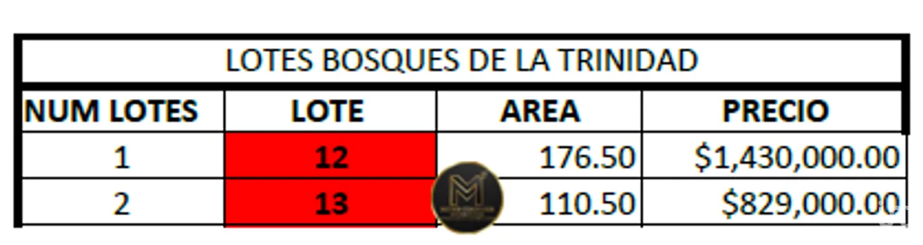 Terreno en Venta en Bosques de la Trinidad, Tuxtla Gutiérrez, Chiapas | NEX-278704 | iad México | Foto 6 de 6