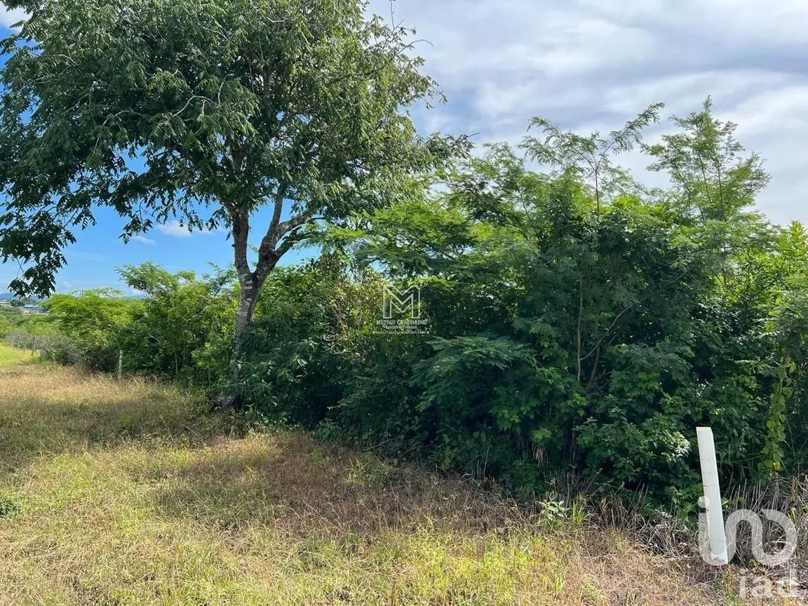 Terreno en Venta en Santa Inés, Berriozábal, Chiapas | NEX-282659 | iad México | Foto 2 de 6