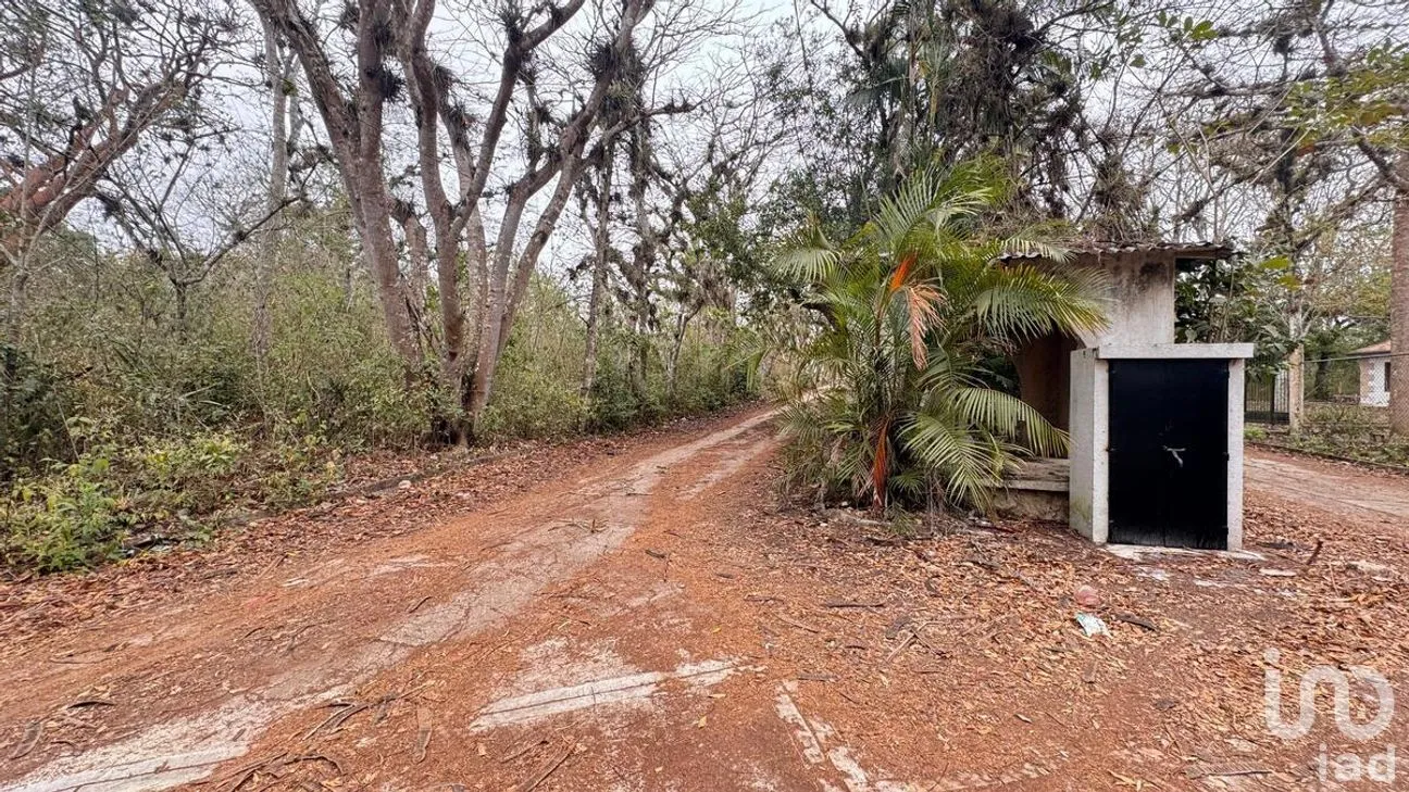 Terreno en Venta en San Juan, Ocozocoautla de Espinosa, Chiapas | NEX-282671 | iad México | Foto 4 de 10