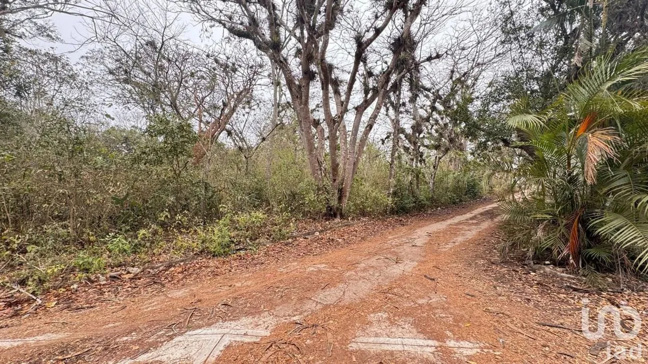 Terreno en Venta en San Juan, Ocozocoautla de Espinosa, Chiapas | NEX-282671 | iad México | Foto 5 de 10