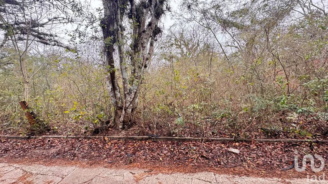 Terreno en Venta en San Juan, Ocozocoautla de Espinosa, Chiapas | NEX-282671 | iad México | Foto 6 de 10