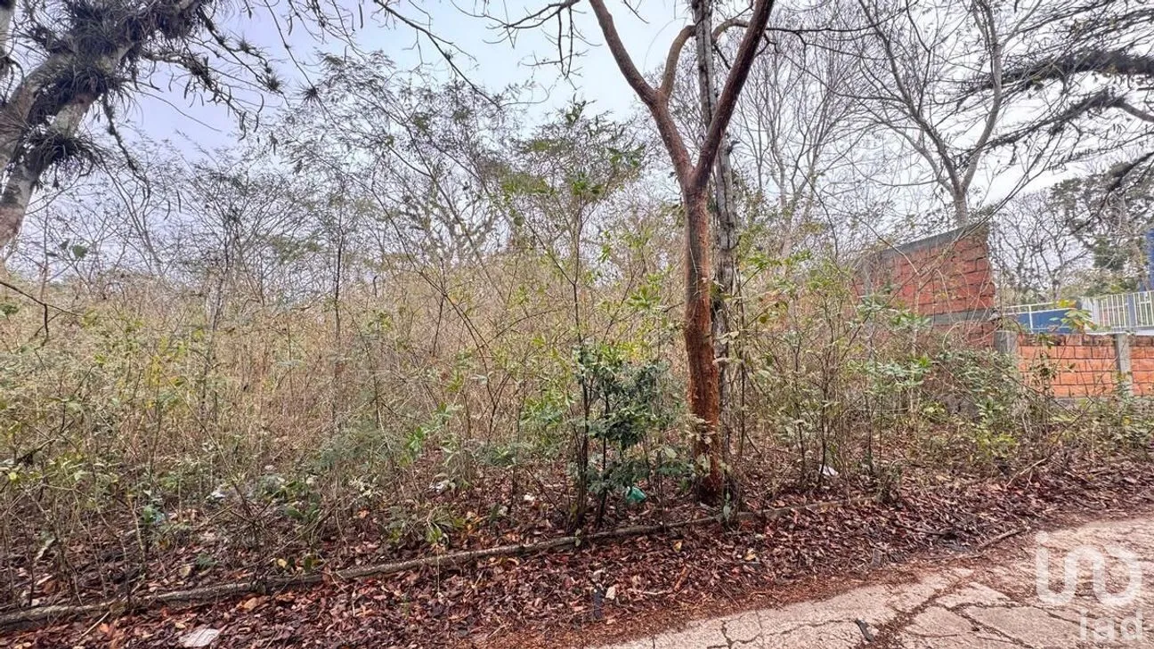 Terreno en Venta en San Juan, Ocozocoautla de Espinosa, Chiapas | NEX-282671 | iad México | Foto 7 de 10