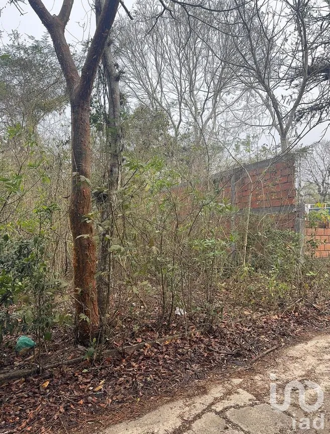 Terreno en Venta en San Juan, Ocozocoautla de Espinosa, Chiapas | NEX-282671 | iad México | Foto 8 de 10