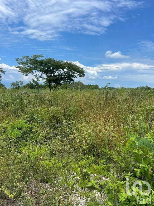 Terreno en Venta en Lomas del Campestre, Tuxtla Gutiérrez, Chiapas | NEX-282675 | iad México | Foto 7 de 7