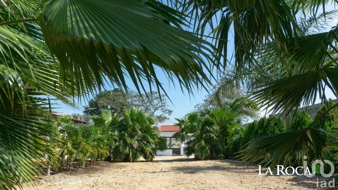 Terreno en Venta en Pedregal Bugambilias, Berriozábal, Chiapas | NEX-282679 | iad México | Foto 6 de 23
