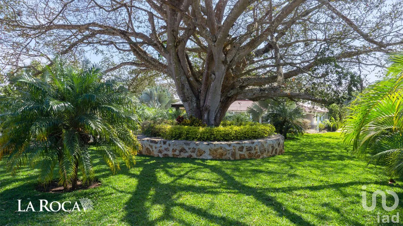 Terreno en Venta en Pedregal Bugambilias, Berriozábal, Chiapas | NEX-282679 | iad México | Foto 7 de 23