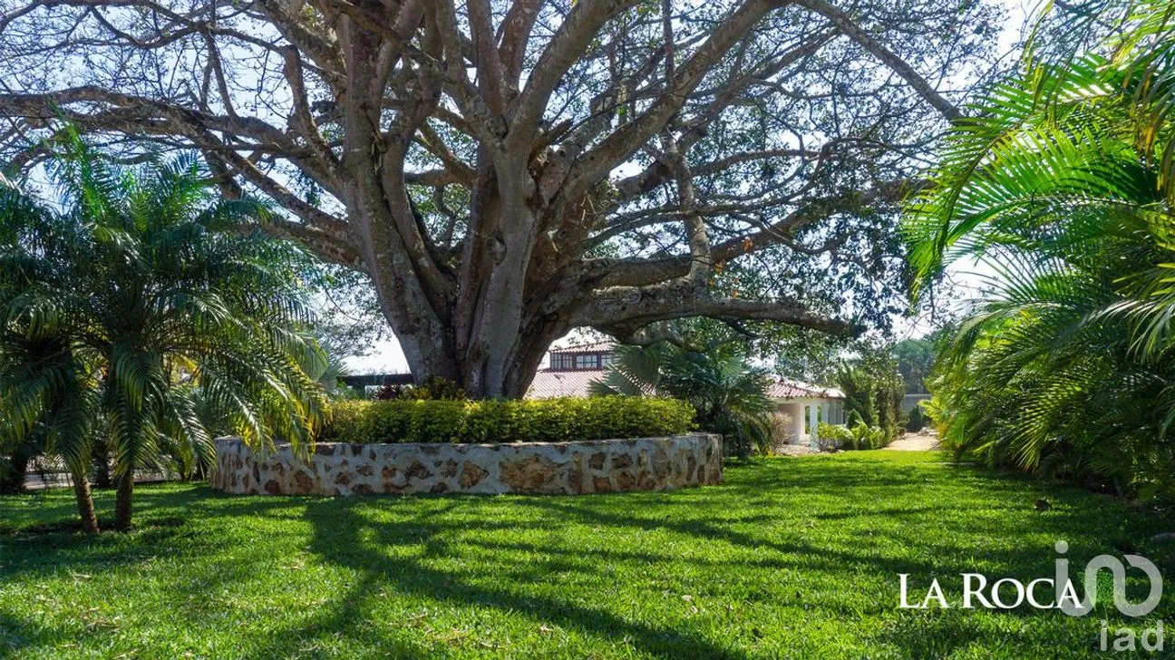 Terreno en Venta en Pedregal Bugambilias, Berriozábal, Chiapas | NEX-282679 | iad México | Foto 8 de 23