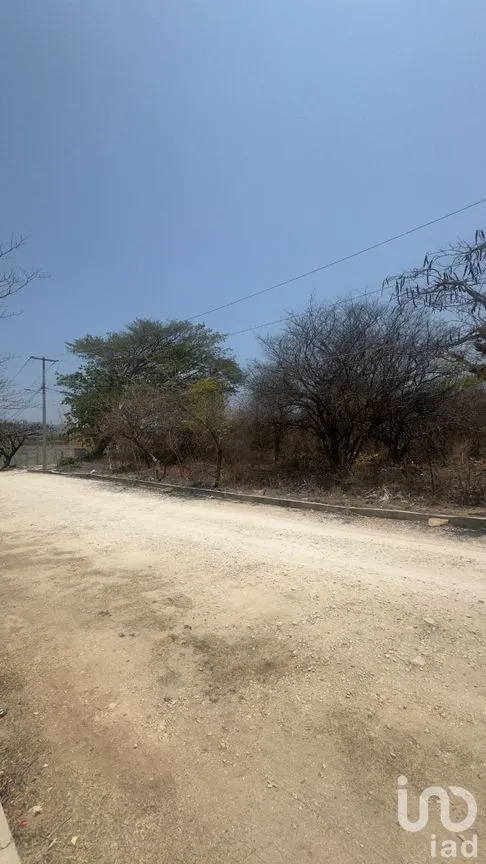 Terreno en Venta en Guadalupe Oriente, Berriozábal, Chiapas | NEX-282682 | iad México | Foto 3 de 4