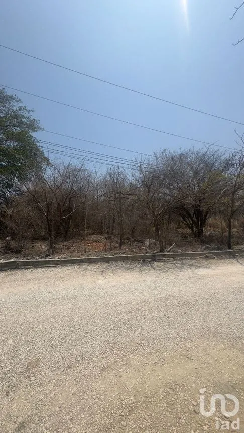 Terreno en Venta en Guadalupe Oriente, Berriozábal, Chiapas | NEX-282682 | iad México | Foto 4 de 4
