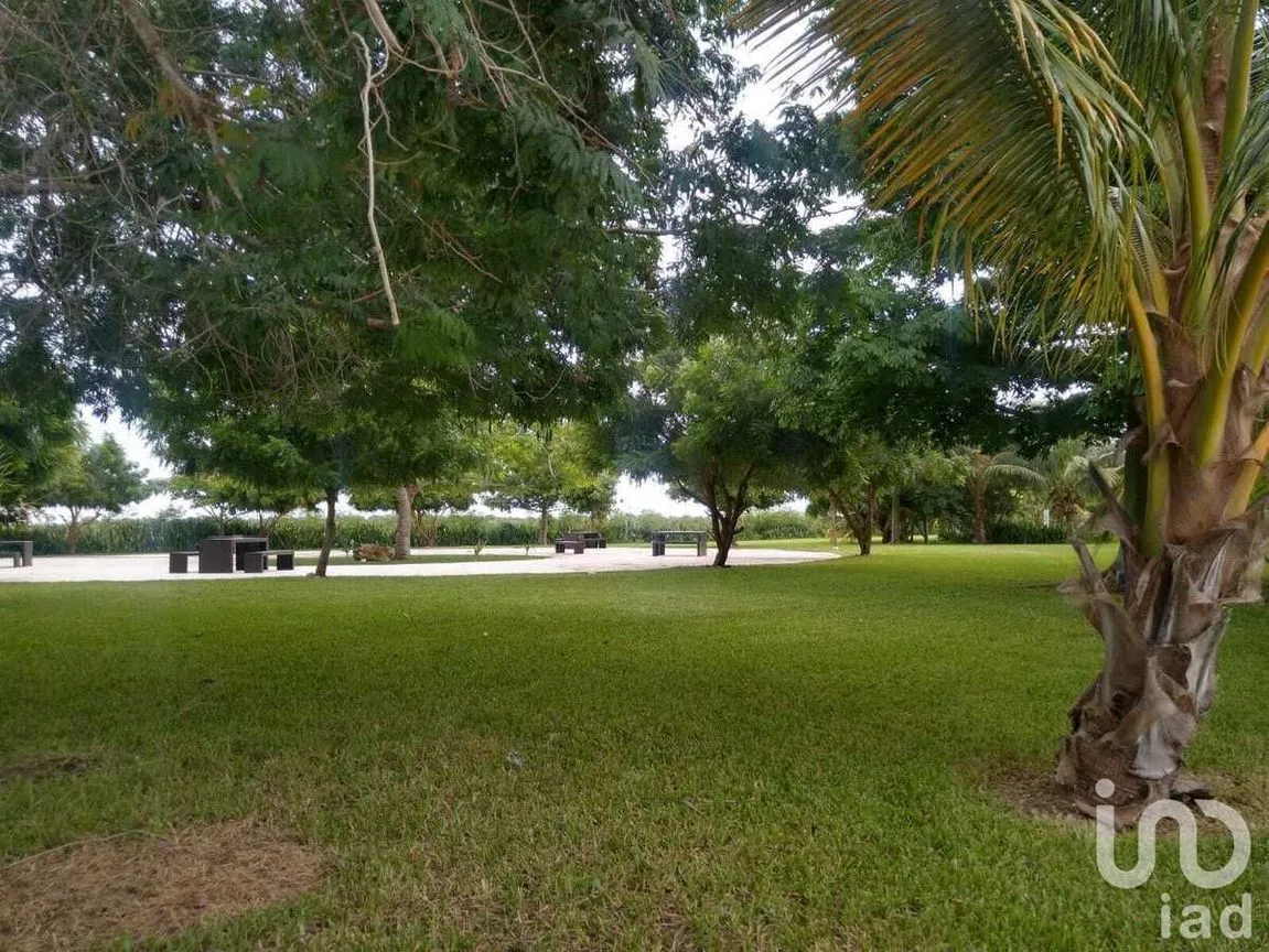 Terreno en Venta en San Ignacio, Progreso, Yucatán | NEX-229907 | iad México | Foto 11 de 20