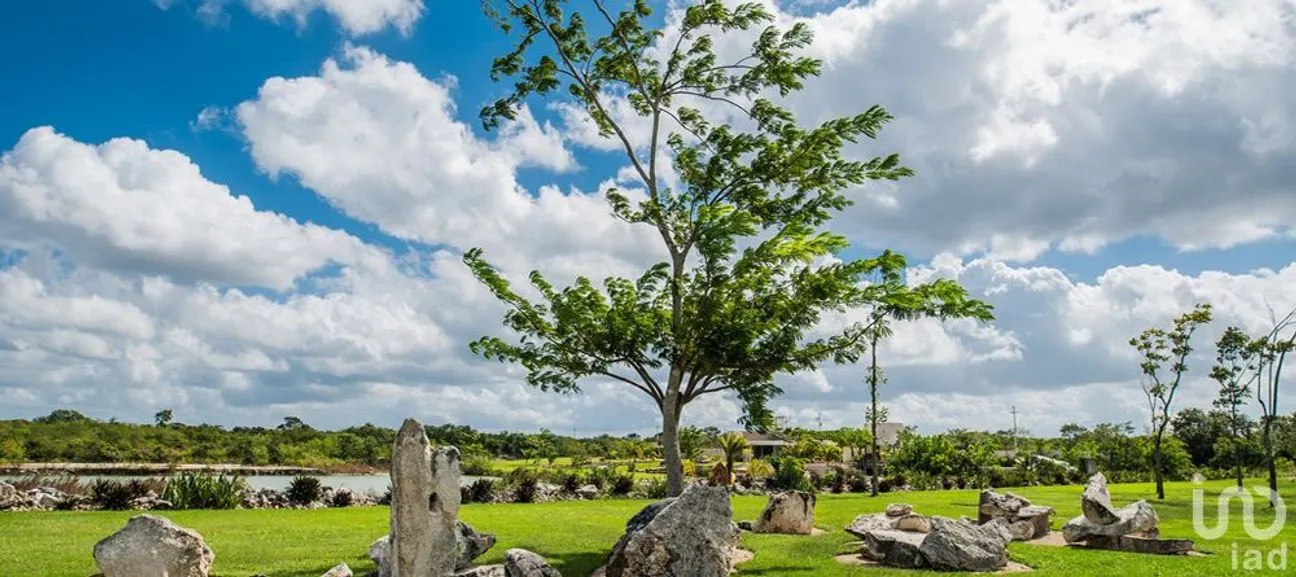 Terreno en Venta en San Ignacio, Progreso, Yucatán | NEX-229907 | iad México | Foto 20 de 20
