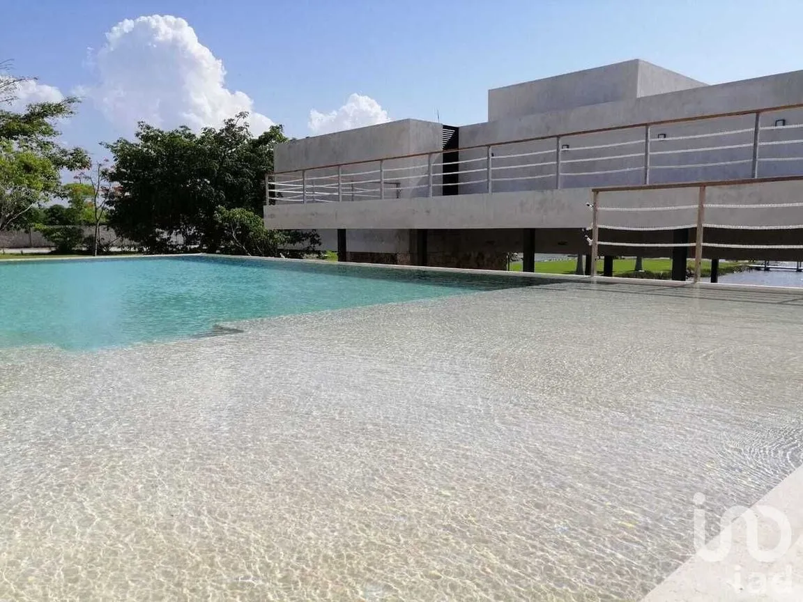 Terreno en Venta en San Ignacio, Progreso, Yucatán | NEX-229907 | iad México | Foto 8 de 20