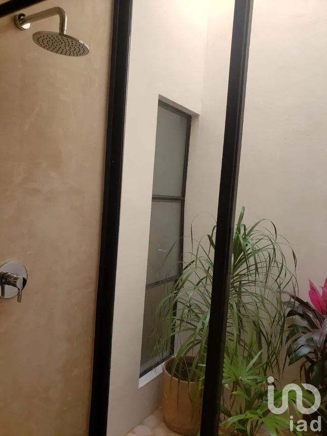 Casa en Venta en Mérida Centro, Mérida, Yucatán | NEX-229807 | iad México | Foto 17 de 37