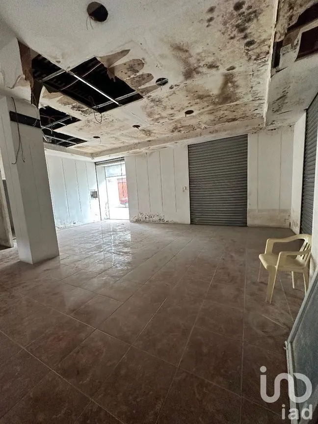Casa en Venta en Mérida Centro, Mérida, Yucatán | NEX-229927 | iad México | Foto 6 de 8