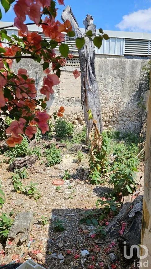 Casa en Venta en Mérida Centro, Mérida, Yucatán | NEX-231057 | iad México | Foto 6 de 7
