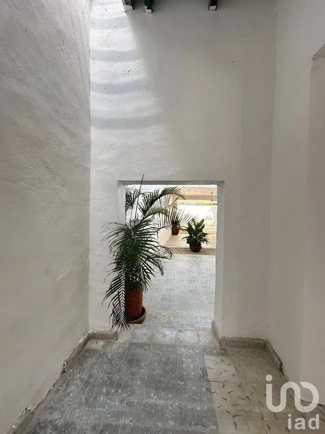 Casa en Venta en Mérida Centro, Mérida, Yucatán | NEX-231075 | iad México | Foto 12 de 18