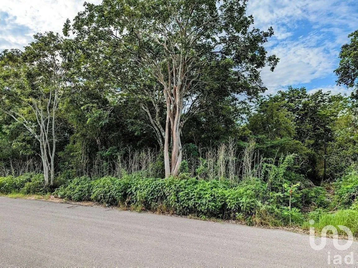 Terreno en Venta en Temozon Norte, Mérida, Yucatán | NEX-228080 | iad México | Foto 3 de 5