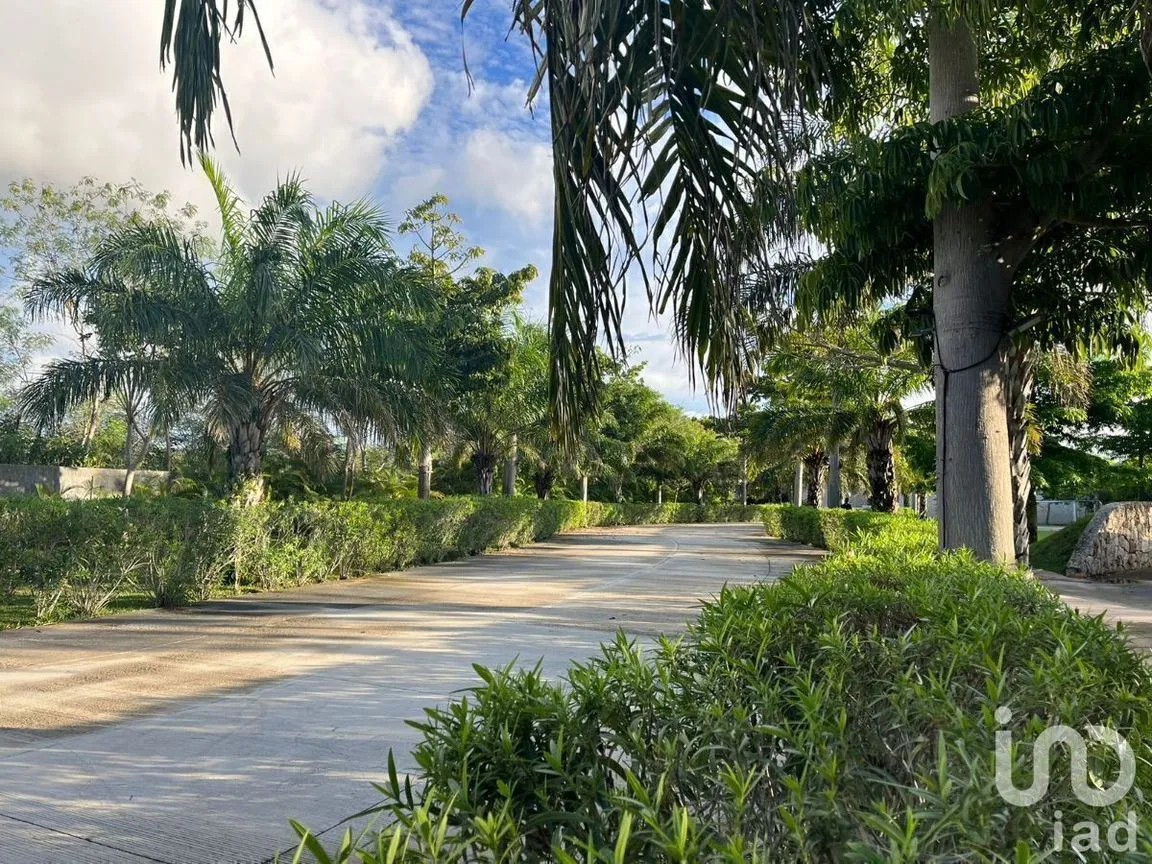 Terreno en Venta en Temozon Norte, Mérida, Yucatán | NEX-228791 | iad México | Foto 3 de 10