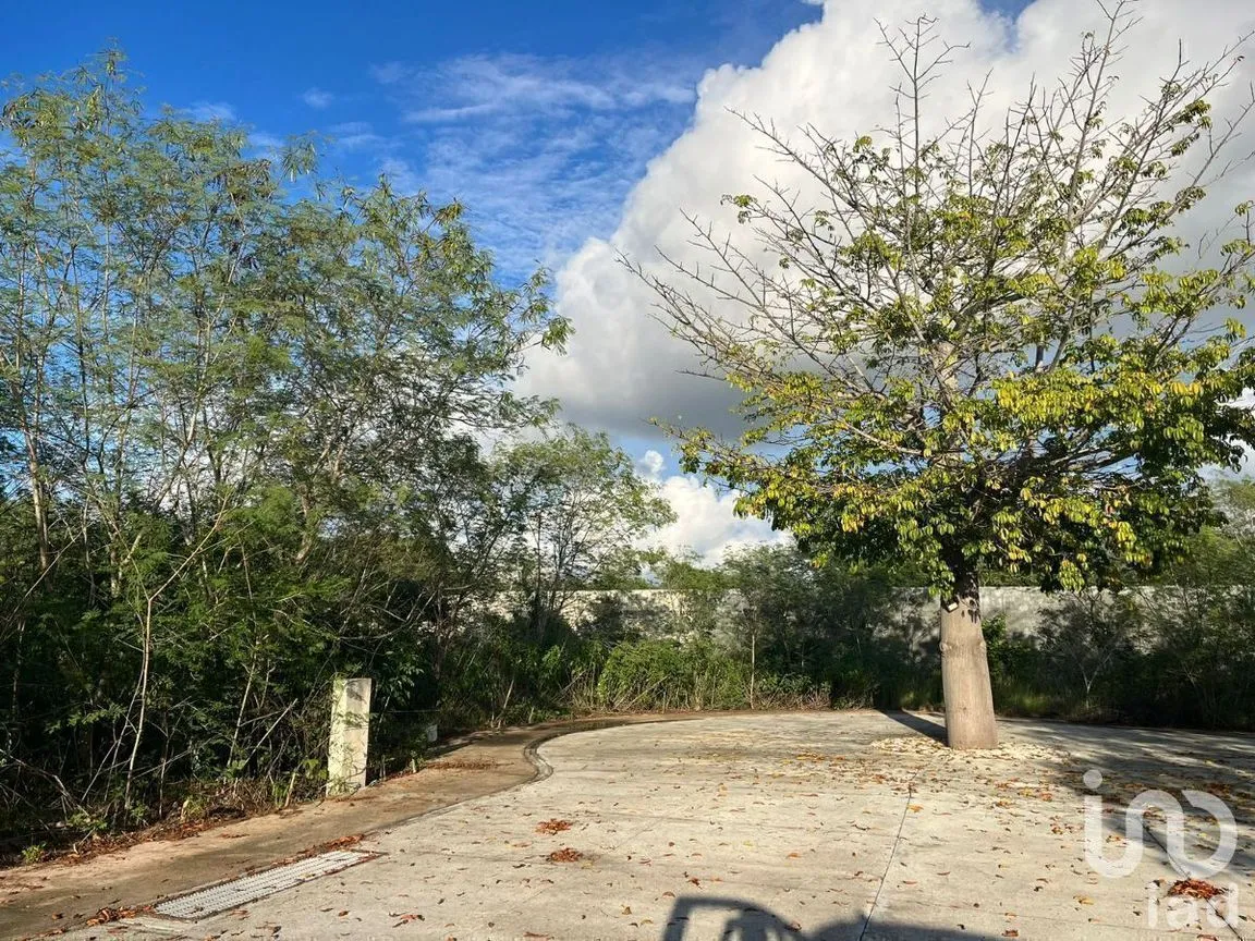 Terreno en Venta en Temozon Norte, Mérida, Yucatán | NEX-228791 | iad México | Foto 4 de 10