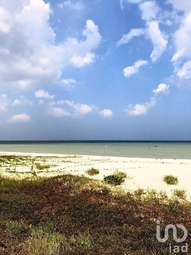 Terreno en Venta en Sisal, Hunucmá, Yucatán | NEX-228794 | iad México | Foto 1 de 3