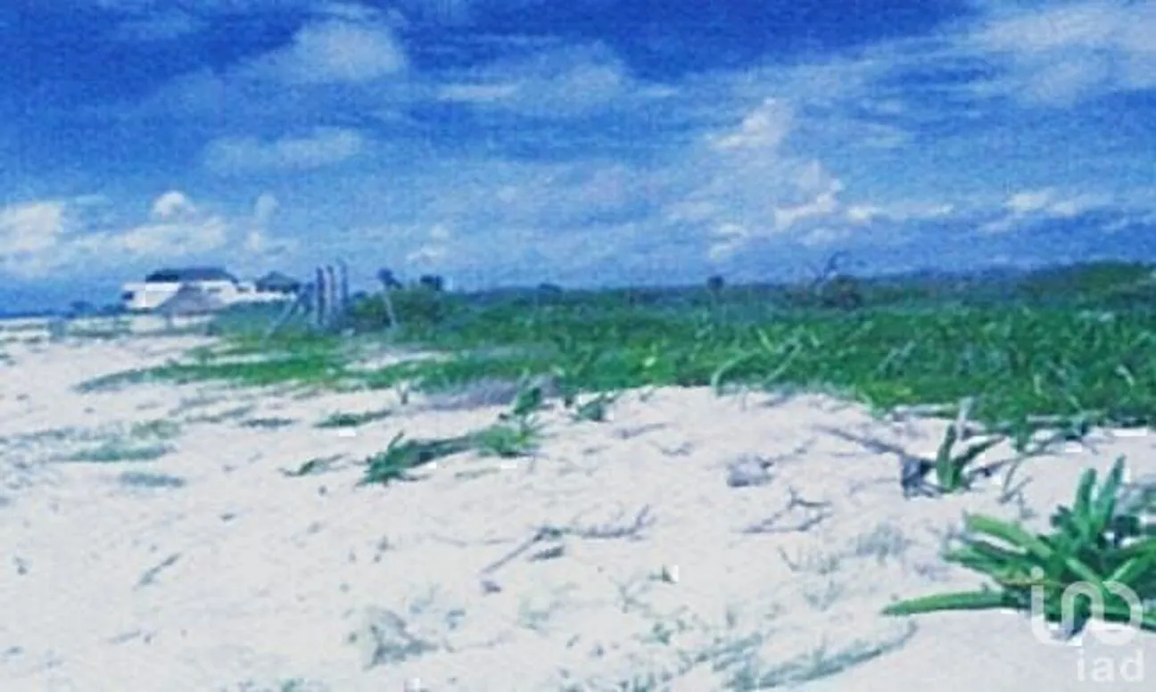 Terreno en Venta en Puerto Morelos, Puerto Morelos, Quintana Roo | NEX-228796 | iad México | Foto 7 de 11