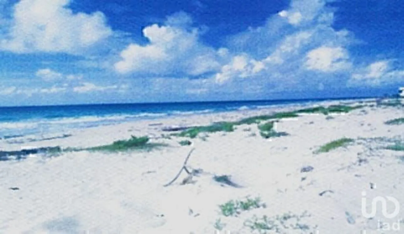 Terreno en Venta en Puerto Morelos, Puerto Morelos, Quintana Roo | NEX-228796 | iad México | Foto 8 de 11