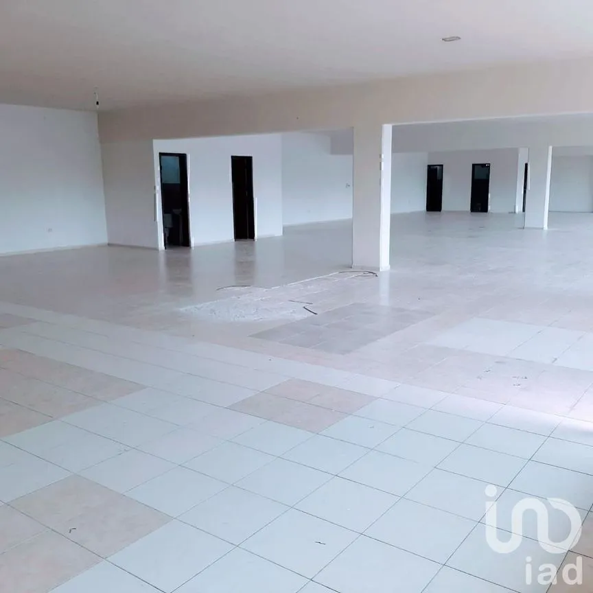 Local en Renta en Yucalpeten, Mérida, Yucatán | NEX-228797 | iad México | Foto 6 de 17