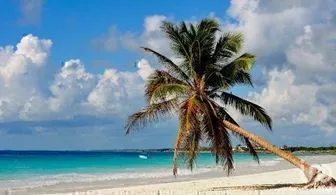 NEX-278235 - Terreno en Venta.